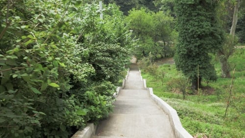 Escaliers dans l'un des plus grands parcs botaniques - Batoumi, Géorgie