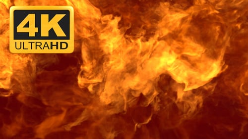 Fire Transition