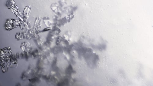 Das Gestell konzentriert sich auf die Kristallzweige von Snowflake