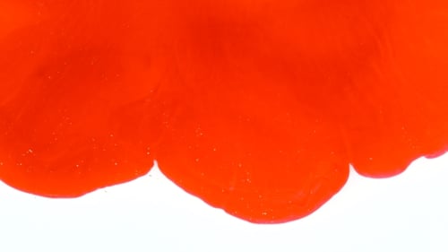 Abstract Red Liquid Flowing Against White Background