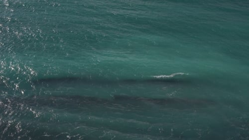 Water Waves in the Ocean