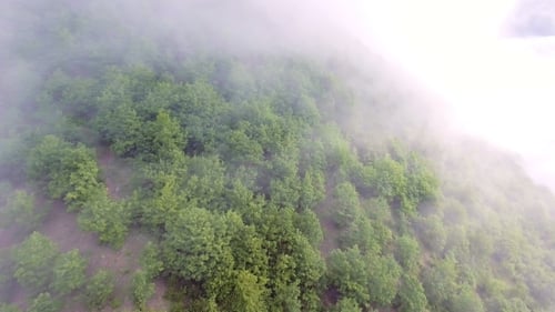 Aerial View of the Mountains with a Morning Fog