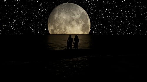 Romantic Couple by Moonlit Sea with Silhouettes