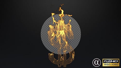 Burning Dollar Sign Icon with Realistic Fire Animation