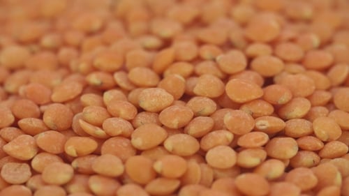 Close-Up of Vibrant Red Lentils