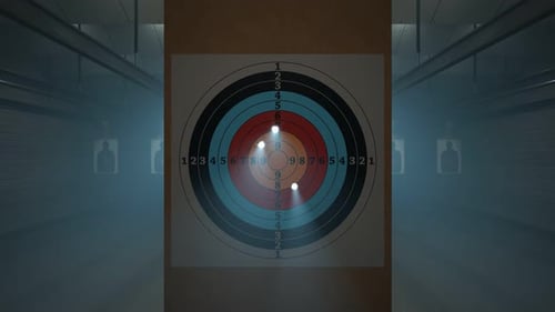 Shooting range with target riddling by bullets. Training practice or competition