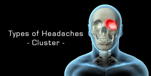 3D Human Skull with Highlighted Eye Socket Medical Animation