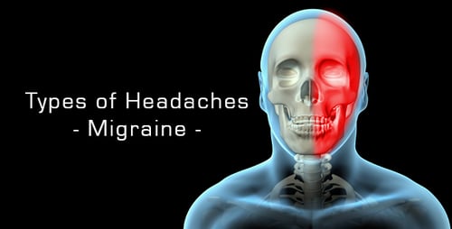 Human Skull Anatomy with Pain Highlight Medical Animation