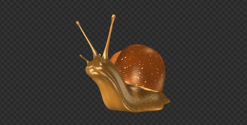 Snail - Moving Loop - Left View