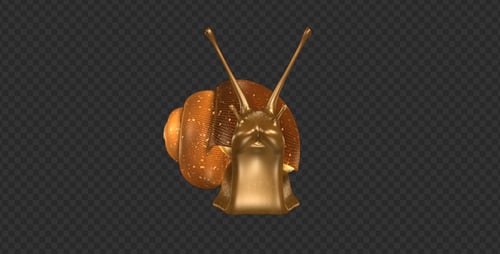 Escargot - Boucle mobile - Vue de face