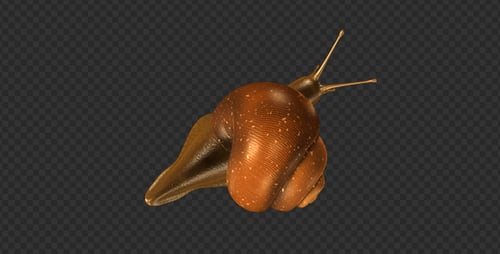 Escargot - Boucle mobile - Vue de dessus