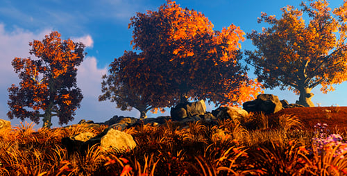 Autumn Trees