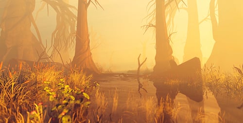 Fairy Forest With Reeds And Water