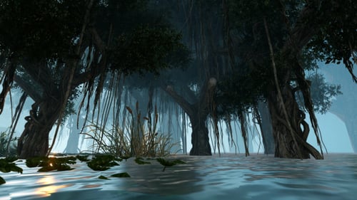 The Magic Forest