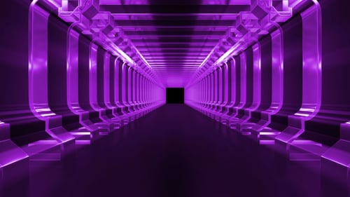 Purple Tunnel Loop