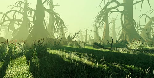 Panorama Of The Forest Growing In The Swamp