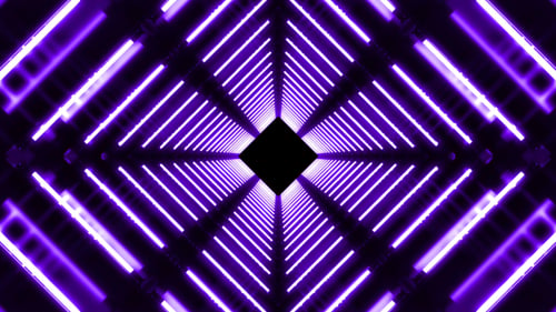Purple Party Tunnel