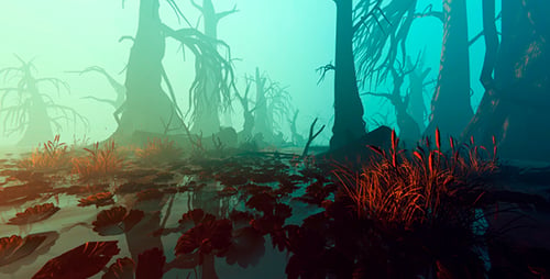 Dark Swamp Forest