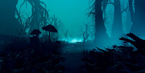 Magical Swamp Forest