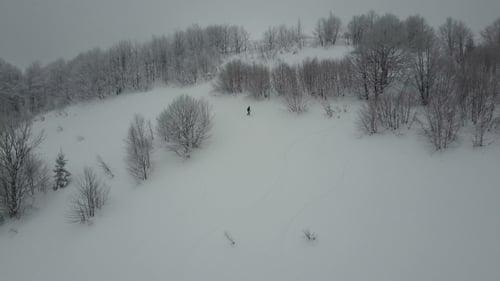 Snowboarder Descending Among Trees. Birds Eye View Above White Powder Snow - Winter