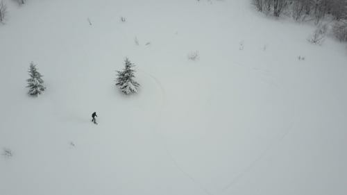 Snowboarder Descending Among Trees. Birds Eye View Above White Powder Snow - Winter