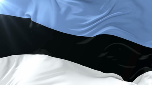Waving Flag of Estonia Realistic 3D Animation