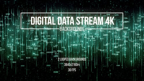 Digital Data Stream