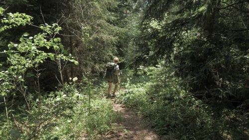 Young Girl Walks in the Mountains Forest with Bakpack - Georgia National Park
