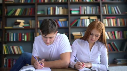 Young Couple of Students Preparing To the Exam. People, Knowledge, Education and School Concept