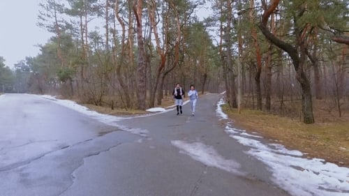 Two Friends Makes Jogging in the Morning in Winter Forest