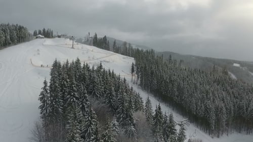 Skiers and Snowboarders Go Down the Slope in a Ski Resort. Winter Forest. Aerial View