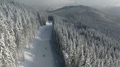 Aerial View. Ski Resort. Snow Covered Fir Trees on the Background of Mountain Peaks.