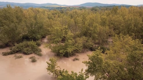 Aerial Spring River Flood in Forest