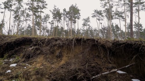 Young Man Jumps Over Ravine During Running in Winter Forest