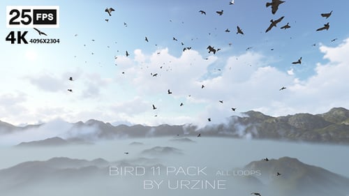 Flock of Realistic Birds Flying on Transparent Background
