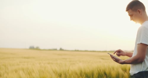 Farmer Uses Tablet in Golden Wheat Field