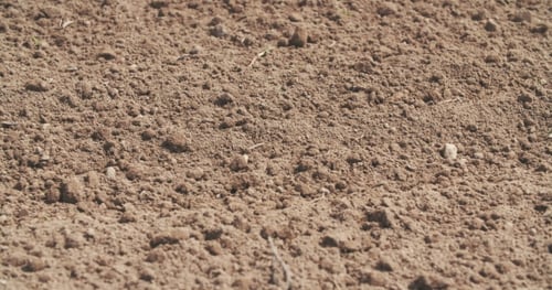Frisch gepflegtes Feld. Landwirtschaftlicher Hintergrund.