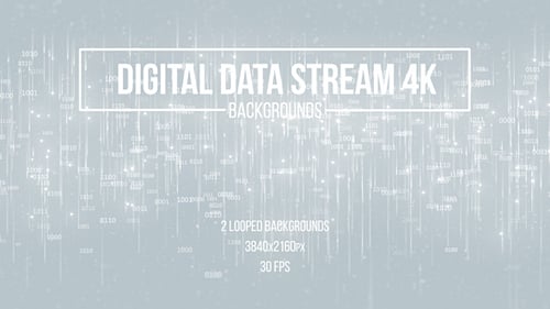 Digital Data Stream White Backgrounds