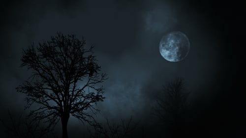Full Moon at Night Rising Between Tree Forest with Clouds