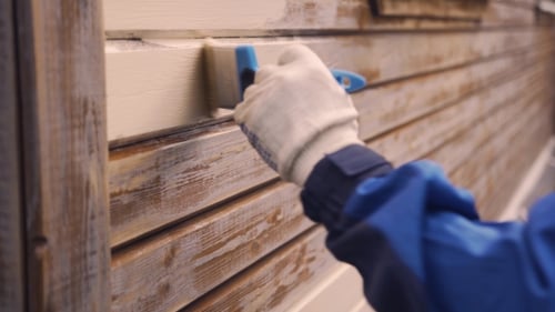 Painting Wooden Wall with White Paintbrush