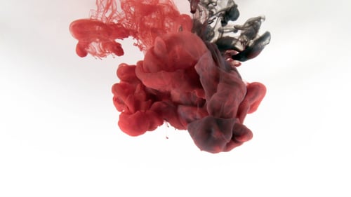 Red and Black Ink Dissolving in Water