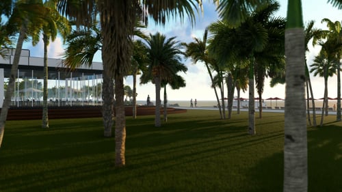 Palm Beach and Sea
