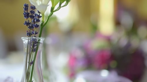 Close Up of Freesia and Lavender Flower Arrangement