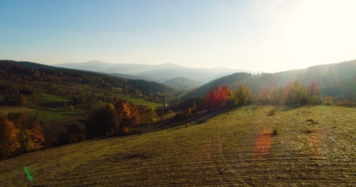 Flying Over the Beautiful Forest Trees. Landscape Panorama.