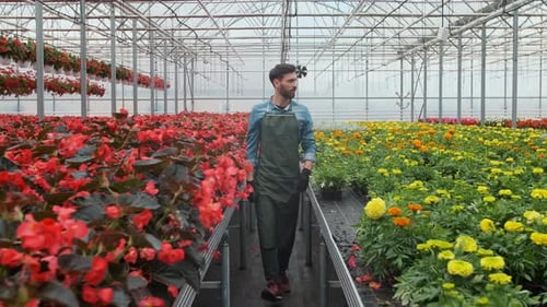 Man Smiling in a Greenhouse Full of Flowers
