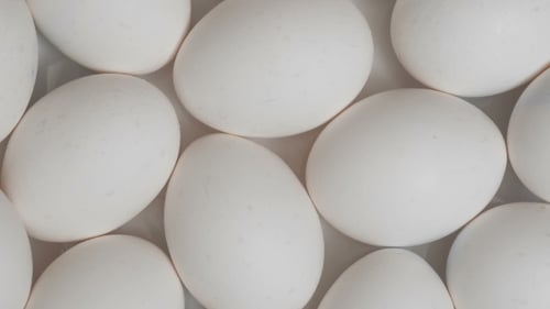 Close-Up of Group of Shiny White Eggs