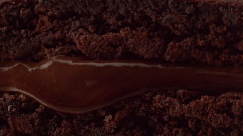 Close-up of Rich Chocolate Brownie Dessert