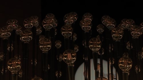 Edison Tunsteen Vintage Light Bulbs in Darkness