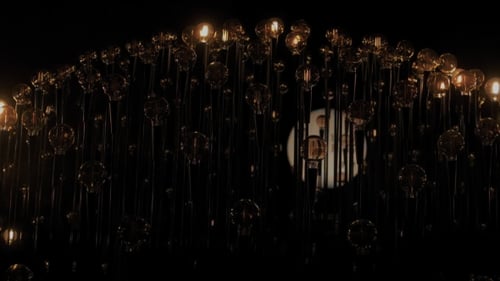 Edison Tunsteen Vintage Light Bulbs in Darkness