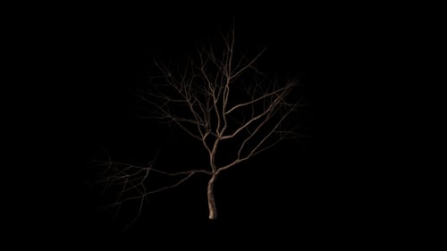 Animated Barren Tree in Desolate Dry Cracked Landscape